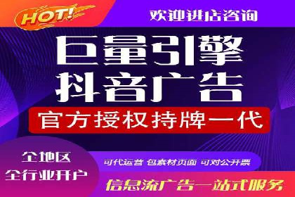 网络推广与竞价策略实战案例